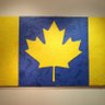 BearOfCanadaStrongAndFree's profile picture