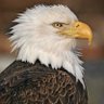 Alan's profile picture