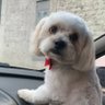 Ramon. 的头像