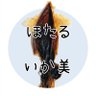 ほたるいか美's profile picture