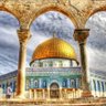 Profilbild von Waleed Abu Omar