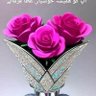 Фото профиля हिन्दी ھندی