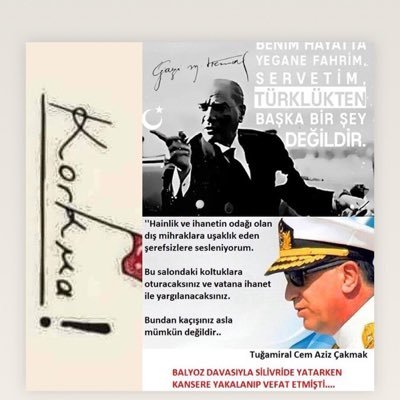 KURMAYCi1283's profile picture