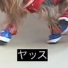 プロの転職エージェント!'s profile picture