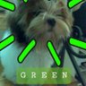 pRiXiEcUrLy's profile picture