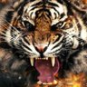 Фото профиля MicTiger