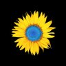 韭韭归一🇺🇦's profile picture