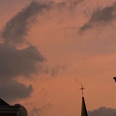 shuxiachangmian's profile picture