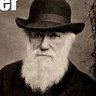 Profilbild von nttols