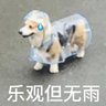 gggg 的头像