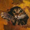 PHD's profile picture