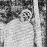 Nur Muhammed profil fotoğrafı