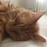 Profilbild von Mario