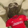 ErikTenHaagOut and RashfordOut profil fotoğrafı