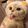 cheerful moves's profile picture