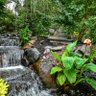 Фото профиля Linda Downey