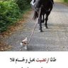 Фото профиля ابو طيف