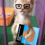 shitposts_mp4's profile picture