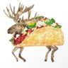 Фото профиля tacomoose