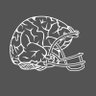Gridiron Nerd 的头像