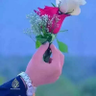 لطيف لطفي 的头像