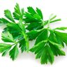 Cilantro profil fotoğrafı