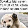 Ahmet ünlü's profile picture