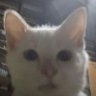 k's profile picture