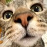 Noseee's profile picture