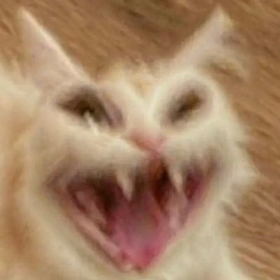 chifaentiffanys's profile picture