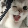 sasa 的头像