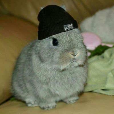 natalia's profile picture