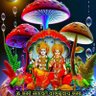 विजय मिश्र profil fotoğrafı