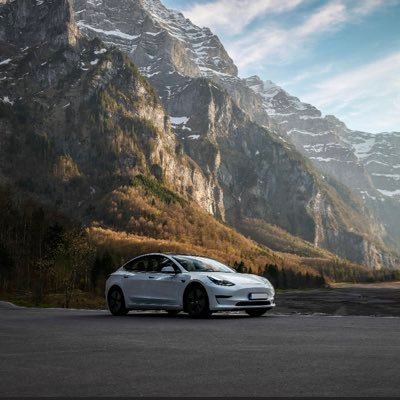shrmodelx's profile picture