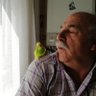 Ali Şahin profil fotoğrafı