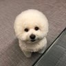xocAs/ざおかす profil fotoğrafı