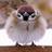 Profilbild von takaboshi