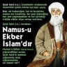 Fatih Turan 的头像