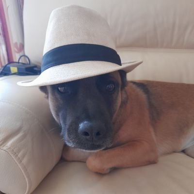 l'abbé faria's profile picture