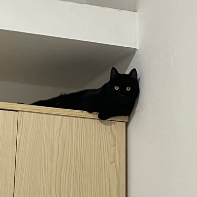 Ajisai's profile picture
