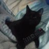 Фото профиля Cat_with_a_controller