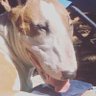 c A's profile picture