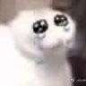 Profilbild von 让我进来