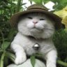 Tekk Erzz's profile picture