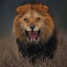 Craig Evans profil fotoğrafı