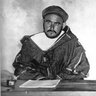 the amazigh's profile picture