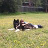 Profilbild von Leon