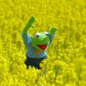 Yusu's profile picture