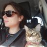 Sambaqui, samba lá profil fotoğrafı