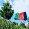 salih afghan 的头像